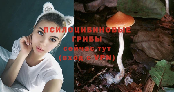 марки nbome Алексеевка